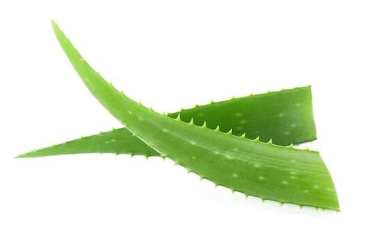 Fungentek aloe vera dauka