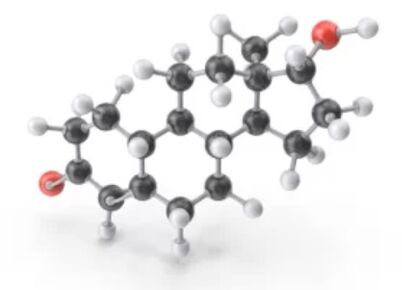 Fungentk klotrimazol dauka